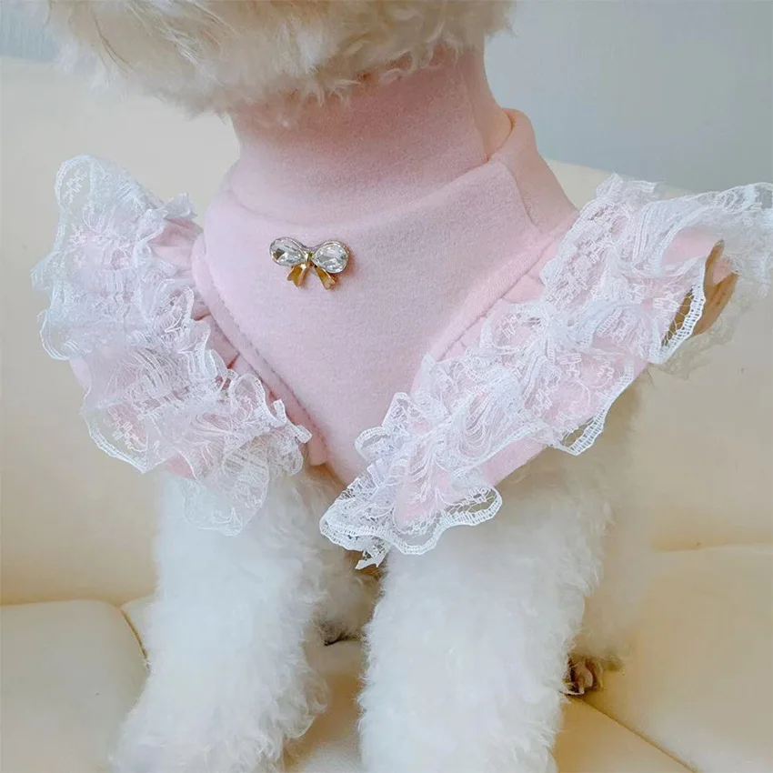 ملابس الحيوانات الأليفة الخريف - مراجعة Lace Teddy Lingerie وسعره